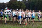 Boys under-15s Northern Cross Country Relays. Photo: David T. Hewitson/Sports for All Pics
